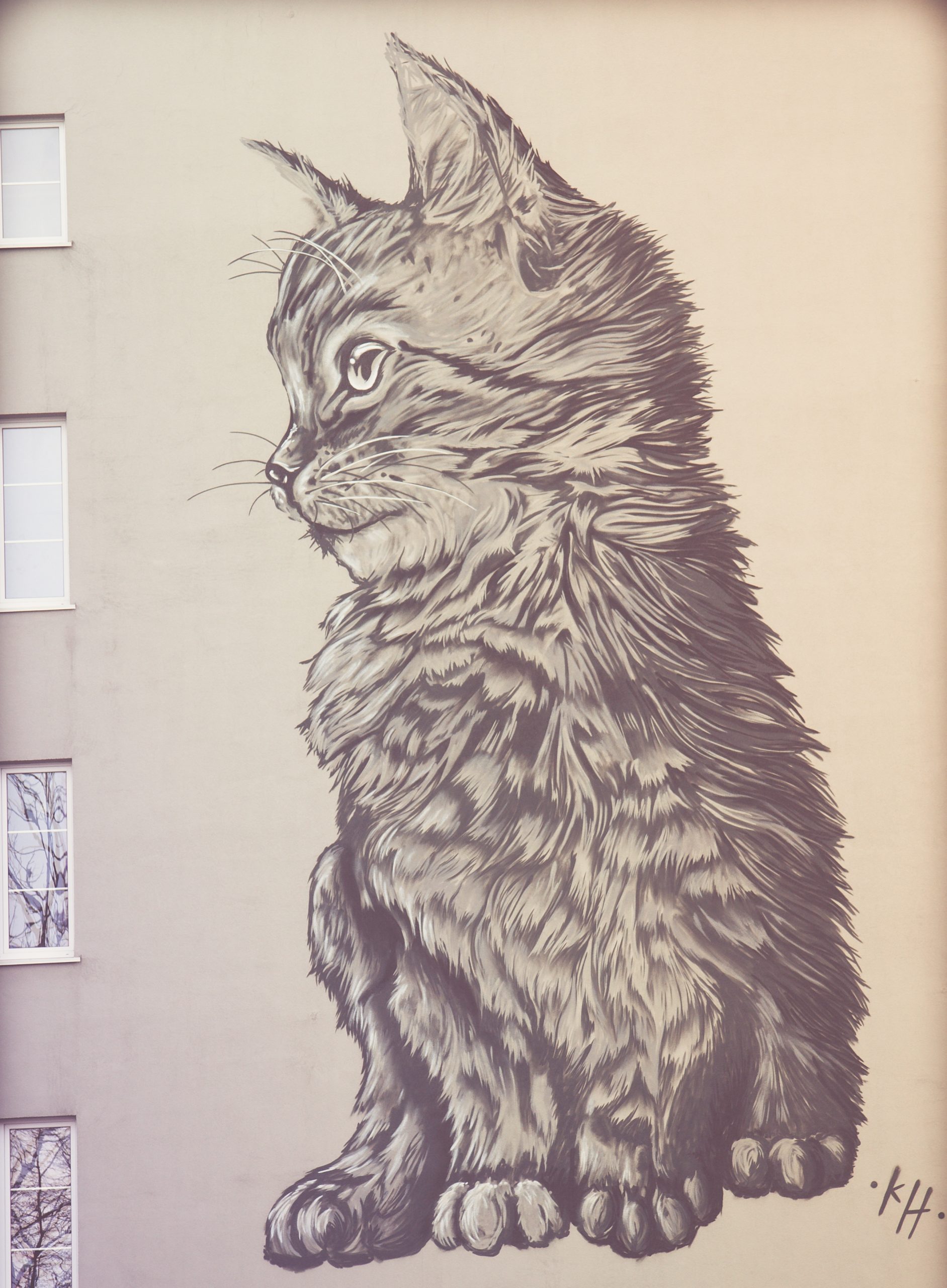 Настенный рисунок в виде кота в Зеленоградске. 