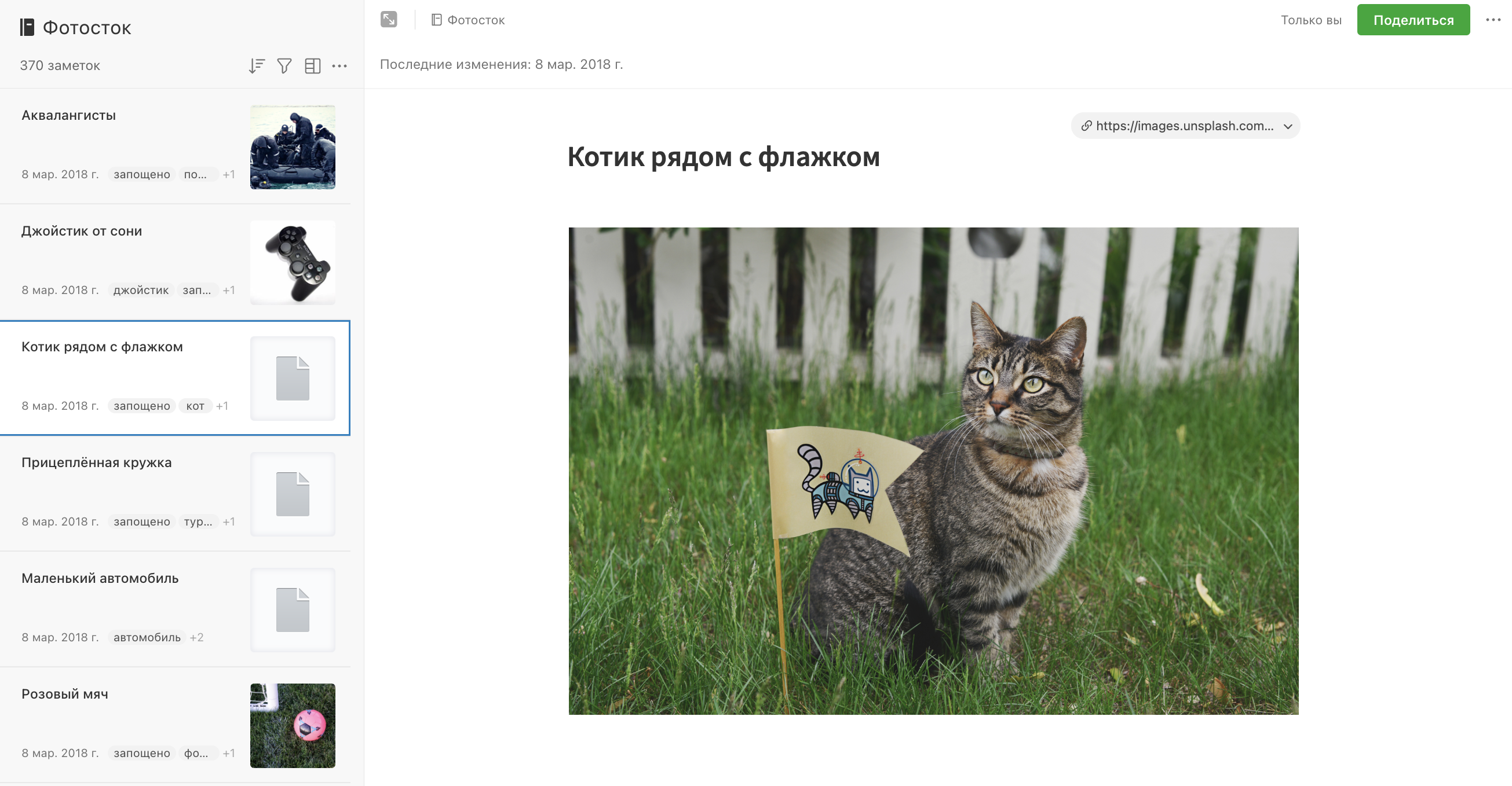 Фотография котика с плейсхолдером, вместо превью в Evernote.