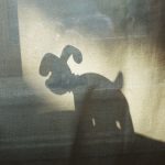 barney-goodman-NeNf5-byTSk-unsplash