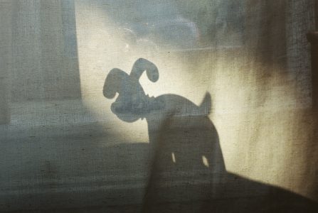 Предыдущий пост