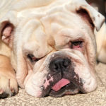 Exhaustion-1
